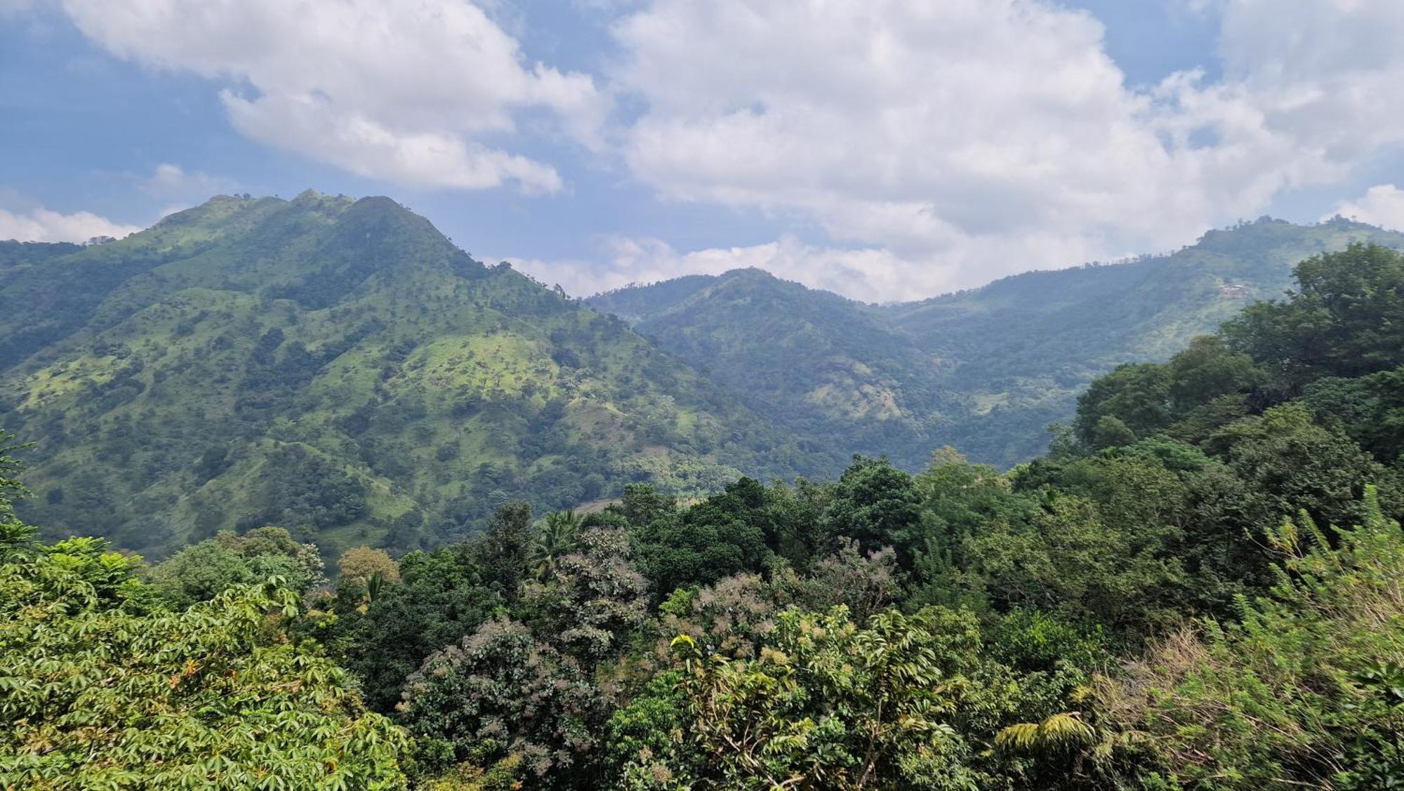 Ella Wild Waterfall Inn 외부 사진
