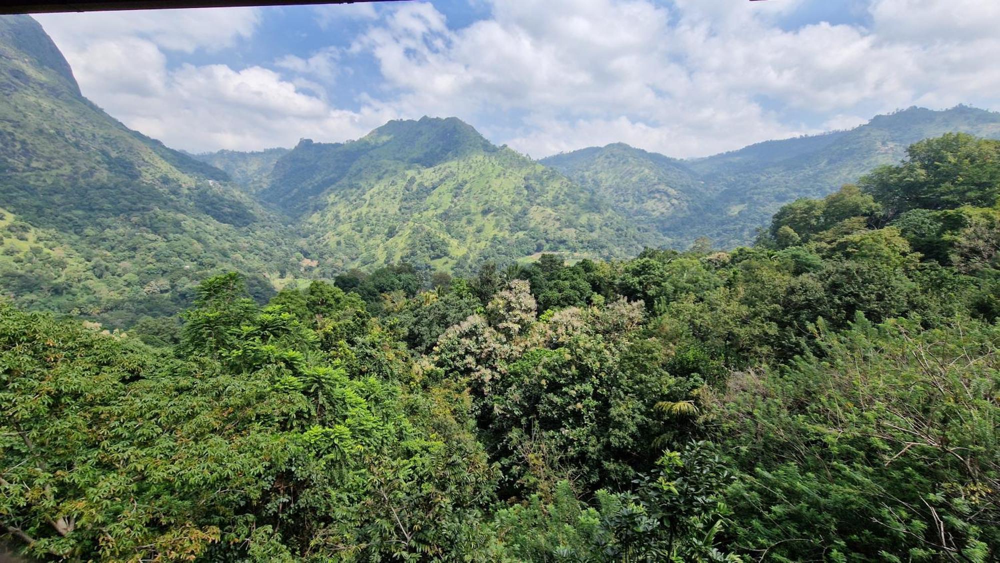 Ella Wild Waterfall Inn 외부 사진