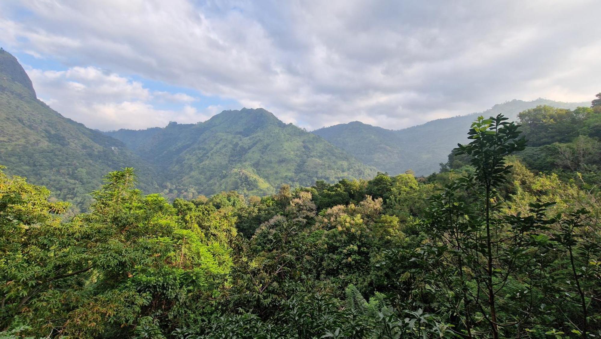 Ella Wild Waterfall Inn 외부 사진
